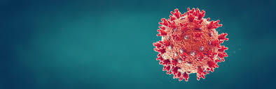 Costilla County Public Health Update: November 25, 2020