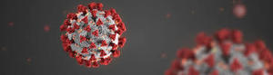 Public Health Update: May 6, 2021